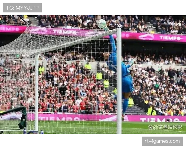 热刺少赛两场落后西汉姆联2分保级形势岌岌可危